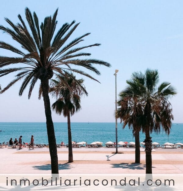 agencia inmobiliaria barcelona compro piso 2